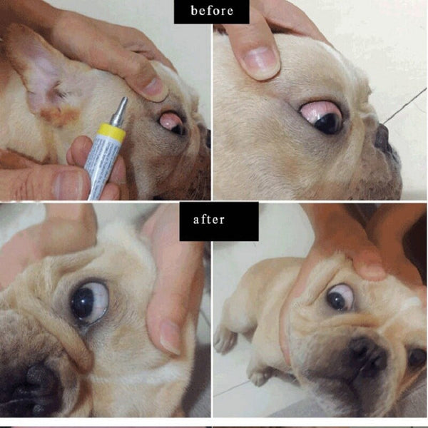 Pet eye ointment 25g eye care cat dog conjunctival keratitis watery eyes red ulcer eye drops