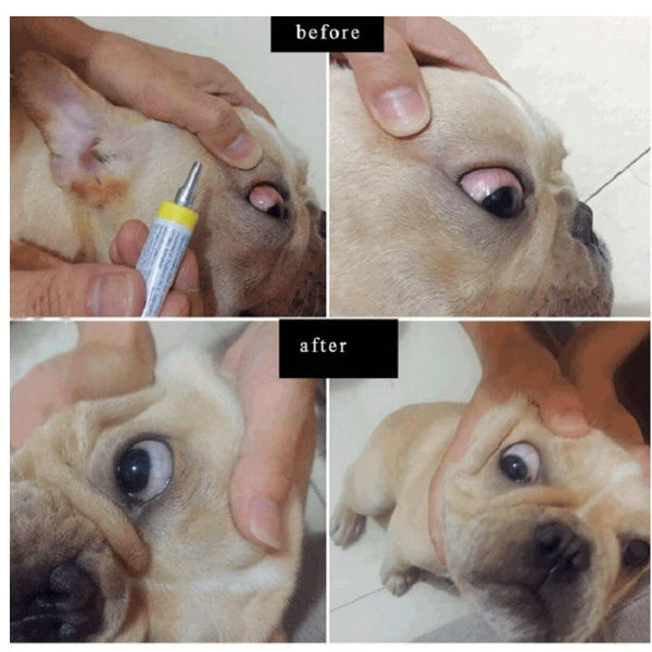 Pet eye ointment 25g eye care cat dog conjunctival keratitis watery eyes red ulcer eye drops