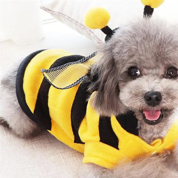 Dress Up, BumbleBee, Buzzing Bee Outfit Pet Costume For Clothes Dogs, Cats and Rabbits