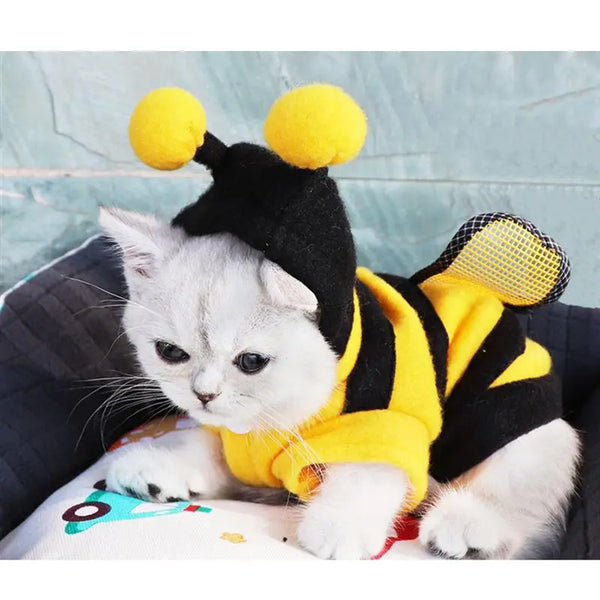 Dress Up, BumbleBee, Buzzing Bee Outfit Pet Costume For Clothes Dogs, Cats and Rabbits