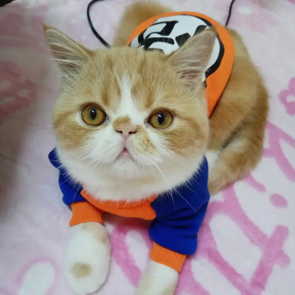 Dragon Ball Z Bob Sponge Pikachu Pet Training Cat Costume Summer Cat Vest Hoodie Cozy Mascotas Gotos