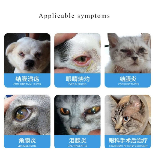 Pet eye ointment 25g eye care cat dog conjunctival keratitis watery eyes red ulcer eye drops