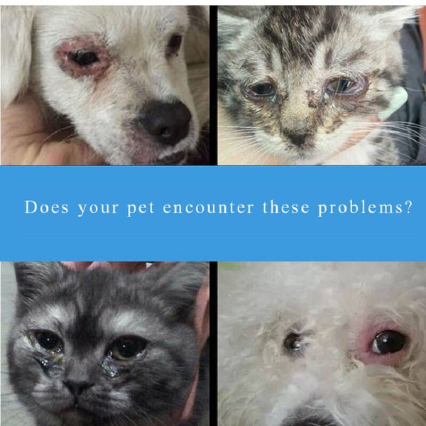 Pet eye ointment 25g eye care cats and dogs conjunctival keratitis watery eyes red ulcers eye drops to remove eye feces