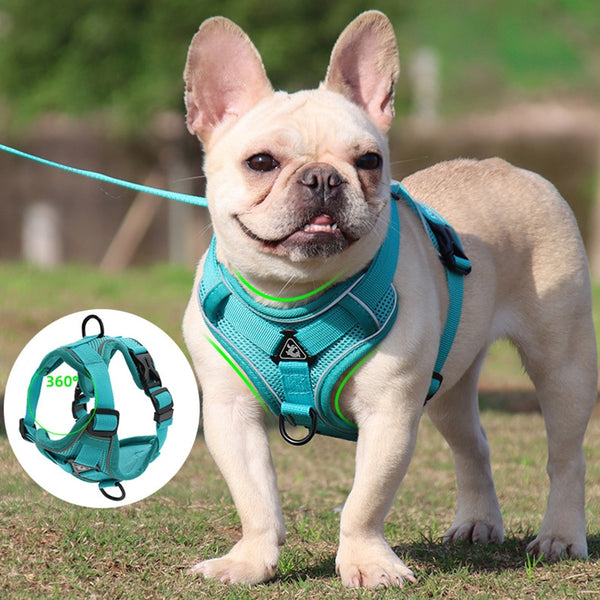 Conjunto de arnés y correa para mascotas, chaleco ajustable para perros pequeños y gatos, malla reflectante, correa para el pecho, Bulldog francés