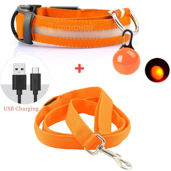 Led Glowing Leash Luminous Dog Collar With Pendant Set Luxury Light For Kinds Dogs Cat Night Safety Flashing Collar Accessories