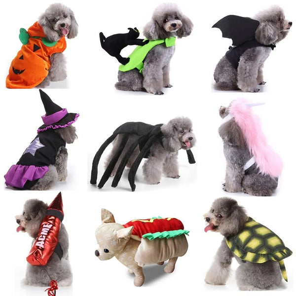 Pet Costumes Extravaganza Halloween Clothing Dog Cats Rabbits Funny Batsuit Hot Dog Noodle Spider Pumpkin Fancy Dress