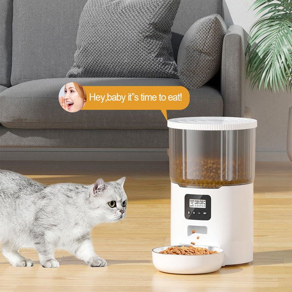 New 4L Pet Feeder Cat Dog Smart Food Dispenser Regular Quantitative Feeding With Audio Recording Automatic Feeding Pet Supplies