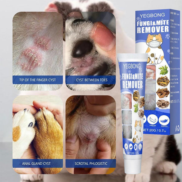 Pet Skin Cream Treatment Ringworm Mites Anti-Itch Treats Stubborn Ringworm Infections Pet Care For Cat Dog Y8Z5