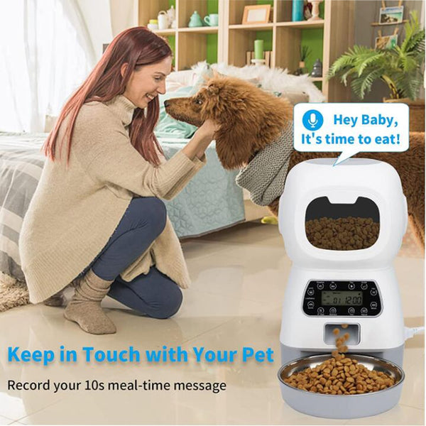 Automatic Dogs Cats Feeder 3.5L Dry Food Dispenser 2L Pet Cat Water Fountain Drink Feeder For Auto Pet Smart Feeders Bowl