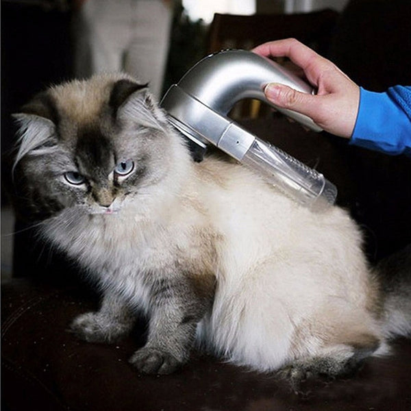 Electric Pet Hair Suction Device Cat Dog Massager Cleaning Hair Brush For Pet Vacuum Cleaner Wool Absorber Pet Grooming Supplies