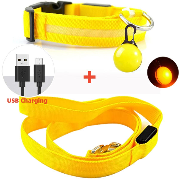 Led Glowing Leash Luminous Dog Collar With Pendant Set Luxury Light For Kinds Dogs Cat Night Safety Flashing Collar Accessories