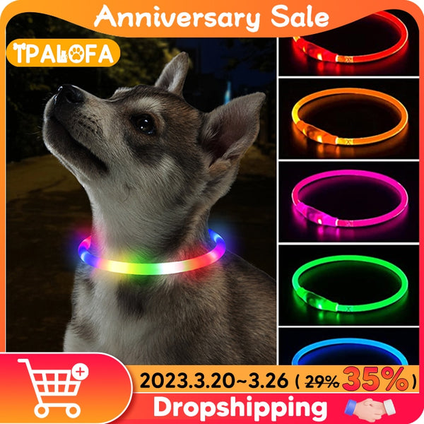 Led Dog Collar Luminous Usb Cat Dog Collar 3 Modes Led Light Glowing Loss Prevention LED Collar For Dogs Pet Dog Accessories