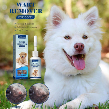 Pet Skin Care